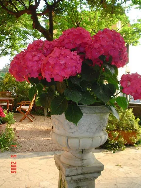 Villa La Fonte Marina di Pietrasanta Hotel